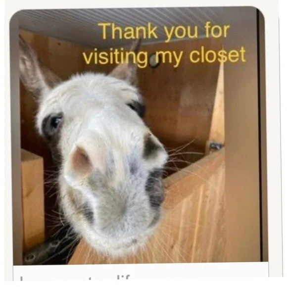 LOGO VL ⭐️ Bronze Brown 🌟 EUC - 2 piece Knit MIDI skirt &  top ⭐️ CLEAN - Picture 13 of 14